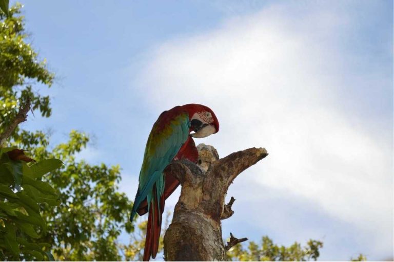 Lee más sobre el artículo Ríos en San Rafael y San Carlos: destinos ocultos para conectar con la naturaleza