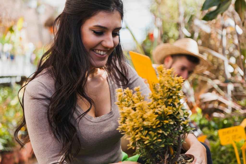 Fincas Silleteras de Santa Elena: La Guía Definitiva para una Experiencia Local