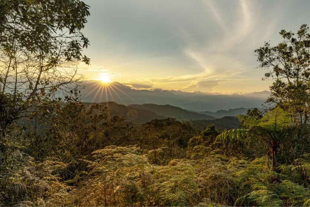 Descubre 3 Increíbles Escapadas a Menos de 2 Horas de Medellín en el Suroeste Antioqueño