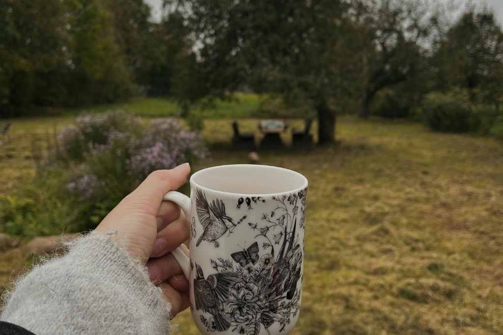 Dónde comer y dormir: Sabor y hospitalidad del Suroeste