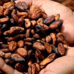 San Rafael y la Ruta del Chocolate: Charcos de cristal y cacao orgánico